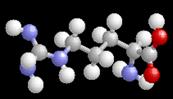 arginine 3D